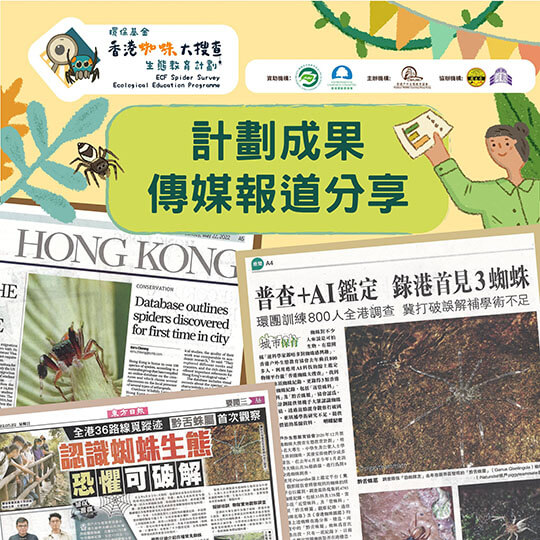「香港蜘蛛大搜查」錄兩新蜘蛛物種　港過往未有紀錄具學界參考價值