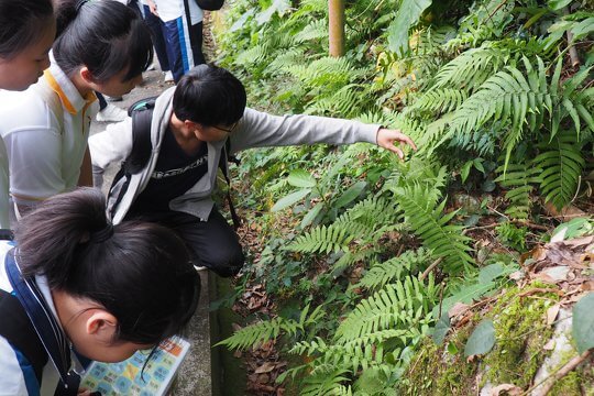 《森林的法則》探索之旅，親身到訪香港森林