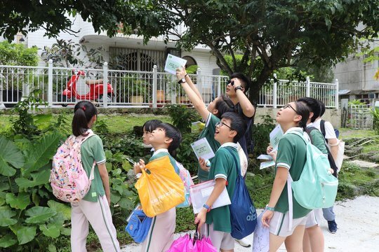 ECF Exploring WILD Lantau - "Discover the Wild Lantau Activity Day” for Primary and Secondary School Students (Plant theme)