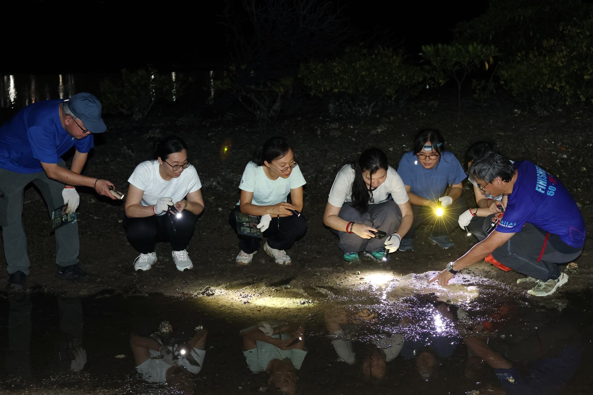 盲盒活動 #2：潮間帶主題