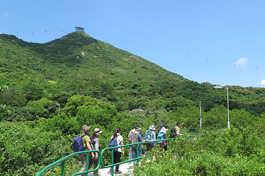 OWLHK The Series of Lantau Ecology