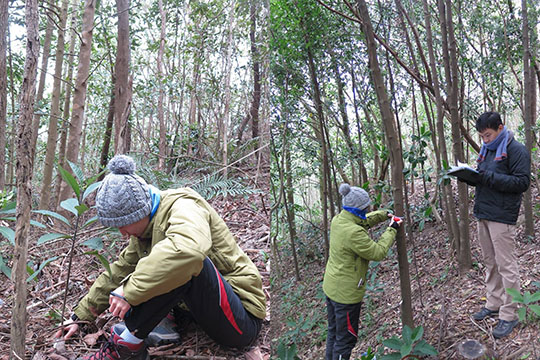 AFCD’s Hong Kong Country Parks Plantation Enrichment Programme