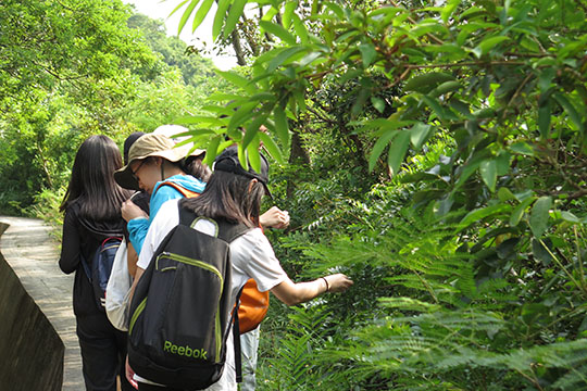 Nature Appreciation Programme for New College, HKU