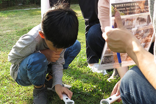 Search in Lantau, ECF Discovering South Lantau Invertebrates