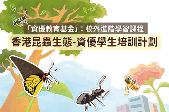 「資優教育基金」：校外進階學習課程 香港昆蟲生態 - 資優學生培訓計劃