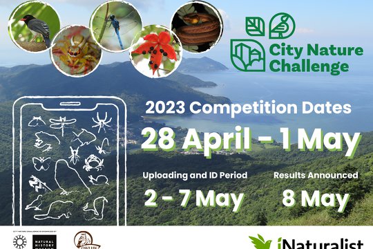 City Nature Challenge 2023