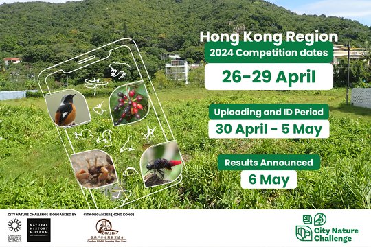 City Nature Challenge 2024