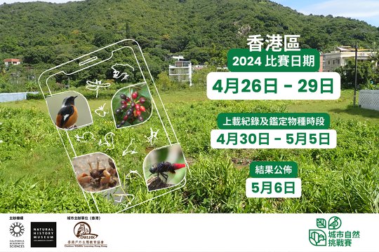 城市自然挑戰賽2024