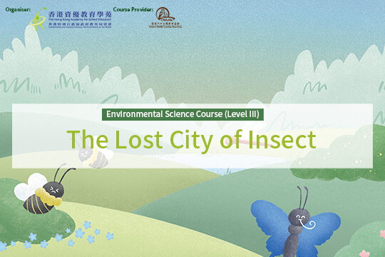 Environmental Science Course (Level III): The Lost City of Insect