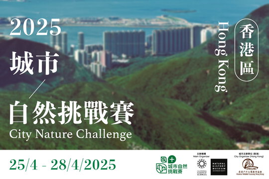 City Nature Challenge 2025