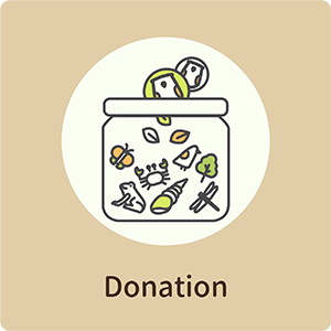 Donation