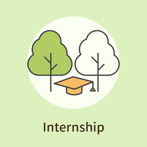 Internship