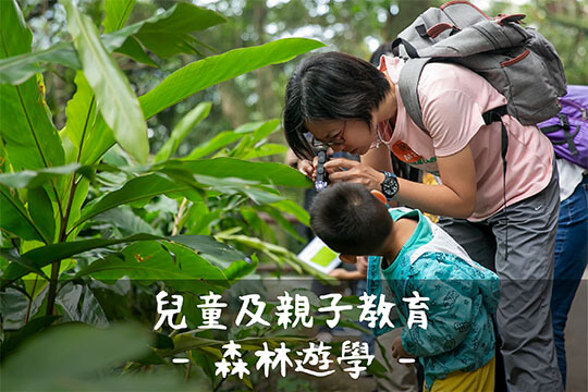 兒童及親子教育 &ndash; 森林遊學