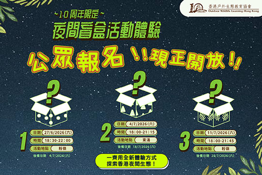 香港戶外生態教育協會成立十周年 | 夜間盲盒活動體驗