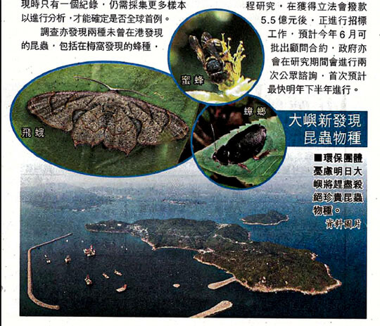 Rare Moth on Lantau Island or First Case in The World Environmental Groups Worry About The Damage Brought by Reclamation