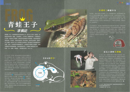 第41期：敢問天籟｜青蛙王子求偶記