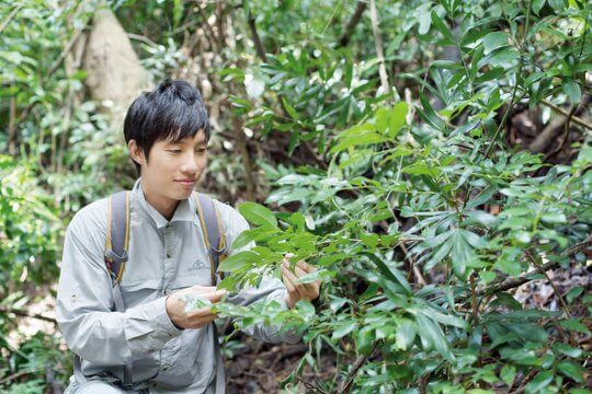 【香港森林進化．影片】美態獨特風水林　活生生的原始博物館