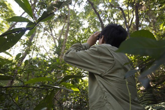 【香港森林進化．影片】走一趟大埔滘次生林　探索林中真實面貌