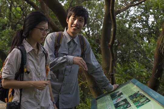 【香港森林進化．影片】龍虎山看灌木林形態　樹矮、鳥類豐富