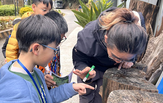 HKAGE Column︱Lost City of Insect &mdash;&mdash; HKAGE Environmental Science Course