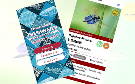 Now streaming: An app guide to the unique wildlife in Hong Kong waterways