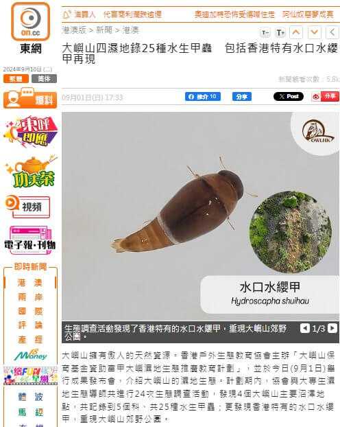 大嶼山四濕地錄25種水生甲蟲 包括香港特有水口水纓甲再現