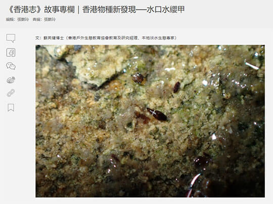 《香港志》故事專欄｜<br/>香港物種新發現 ── 水口水纓甲