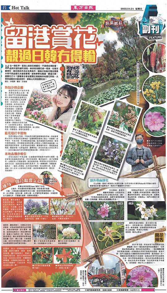 Unbeatable Flower Blossoming, Worth Staying in Hong Kong to Enjoy