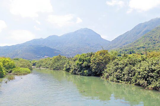 大嶼山生態教室 探索日與夜