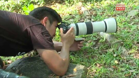 Conserve Lantau Through Our Lens