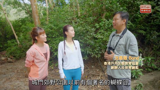 《大自然深度遊 | 城門美猴王》<br/>（蝴蝶部分）
