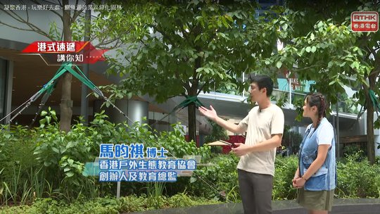 凝聚香港 | 玩樂好去處 – 鰂魚涌商業區綠化園林