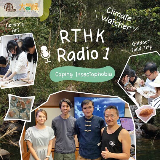 Climate Watcher | Coping Insectophobia