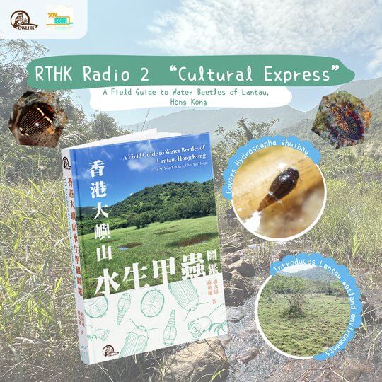 Cultural Express | A Field Guide to Water Beetles of Lantau, Hong Kong