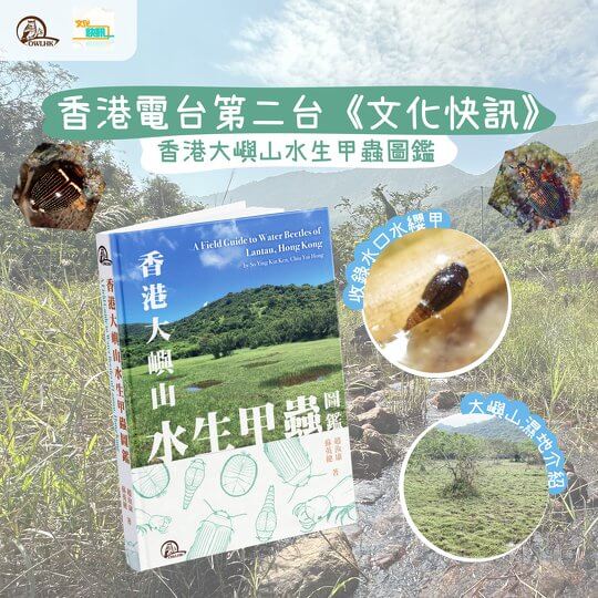 文化快訊 | 香港大嶼山水生甲蟲圖鑑
