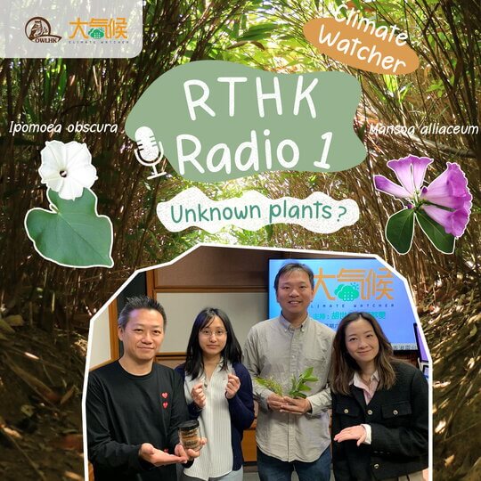 Climate Watcher | Unknown plants?