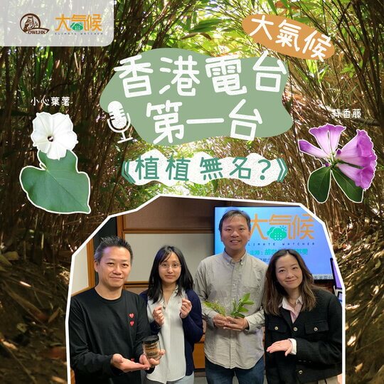 大氣候 | 植植無名？