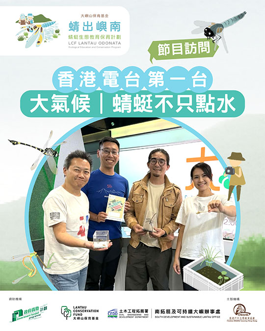 大氣候 | 蜻蜓不只點水