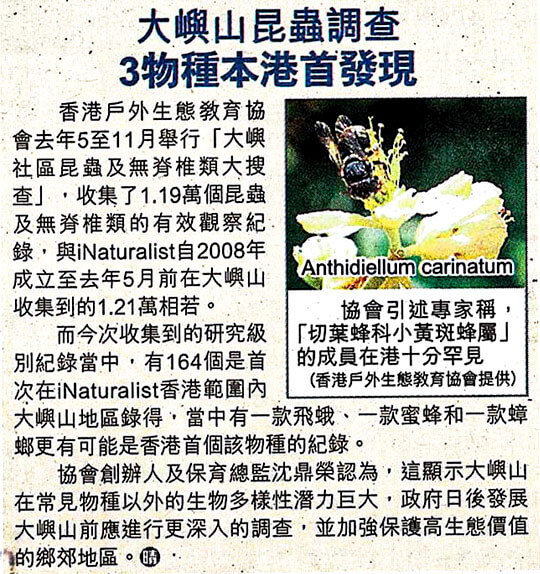 Insect Survey on Lantau Island, 3 species First Discovered in Hong Kong