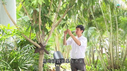 時事多面睇 | 環保表現
