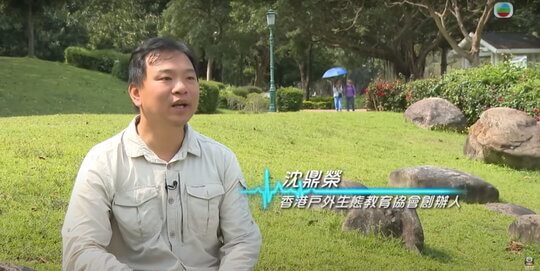 昆蟲過敏：紅火蟻過敏患者分享如何與過敏共存？預防、治療