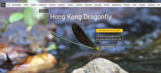 Hong Kong Dragonfly Website