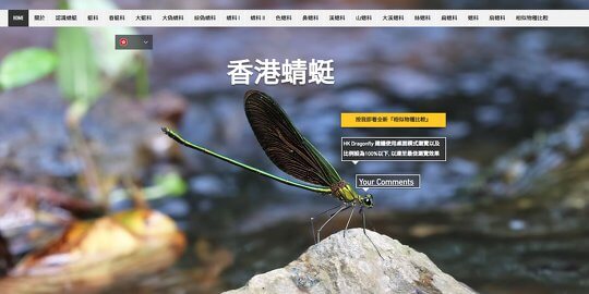 香港蜻蜓網站