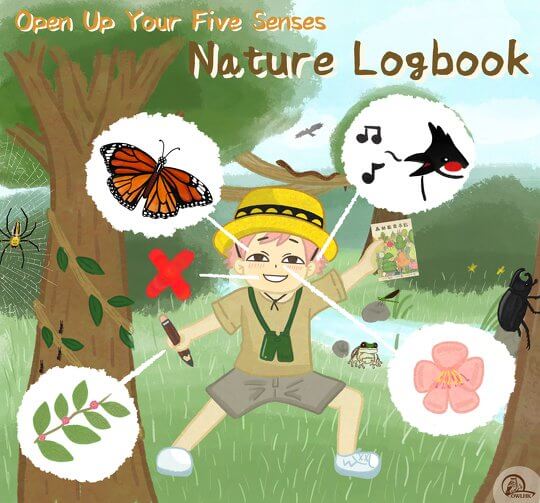 Open Up Your Five Senses - Nature Logbook