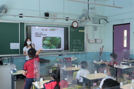 Intern seized chances to perform classroom teaching. (2021 intern, 李詠陶)