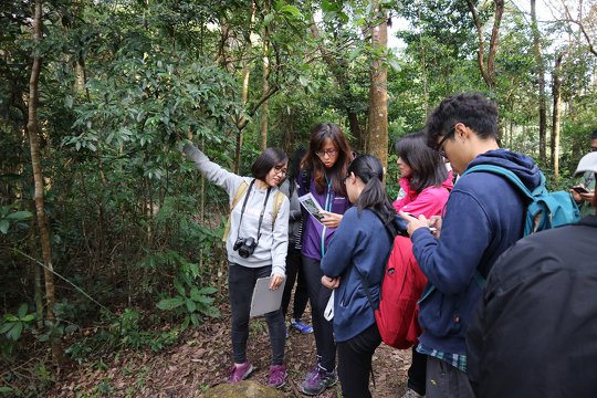 Obviously, an internship in OWLHK cannot be complete without outdoor environmental education experience! (2017 intern, 孟曉瑩)