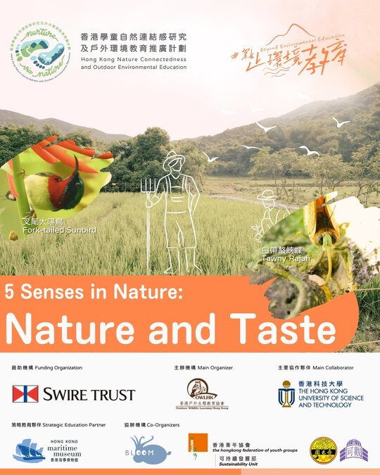 Beyond Environmental Education Article series #12: 5 Sense in Nature - Nature and Taste
