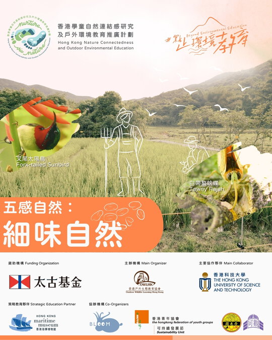 點止環境教育文章系列 #12：五感自然 — 細味自然