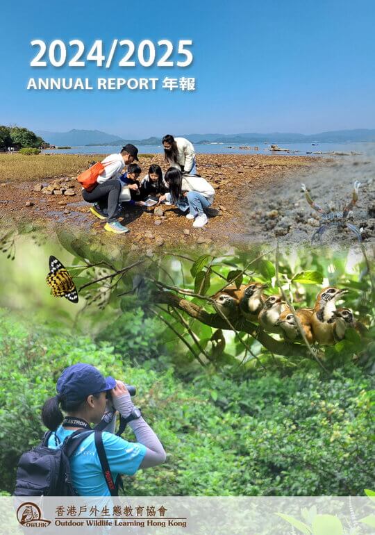 OWLHK 年度報告 2024/2025
