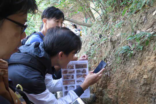 螞蟻雖然細小，但配合本會設計的圖鑑及專家講解，觀察起來相當有趣